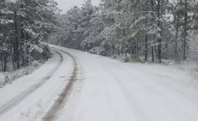  Cierran más tramos carreteros por nevada en la sierra Tarahumara