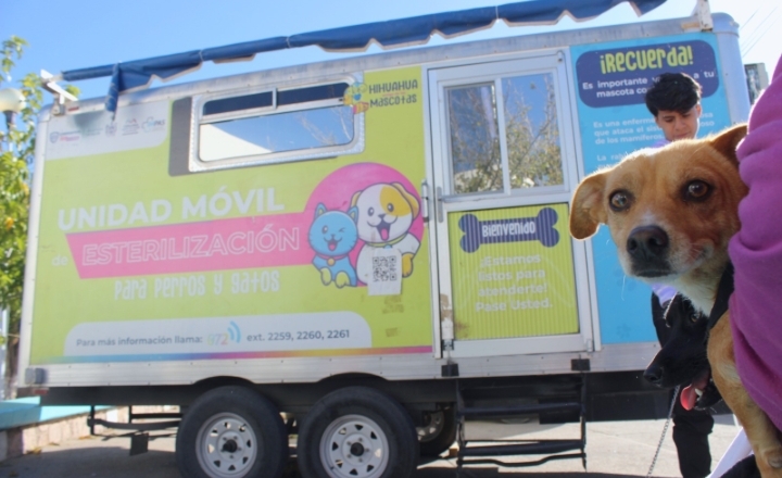  Ofrece IMPAS servicio de esterilización a mascotas en diferentes puntos de la ciudad