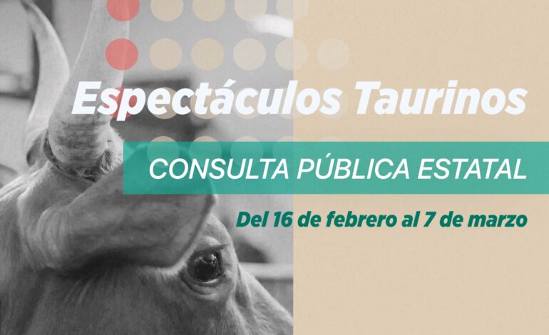  Invita IEE a participar en Consulta Pública Estatal “Espectáculos Taurinos”