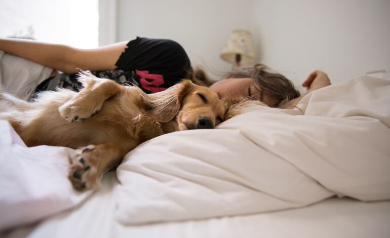  ¿Las mascotas deberían dormir en la cama?
