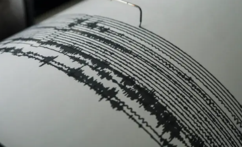  Se registra sismo magnitud 5 con epicentro en Guerrero 