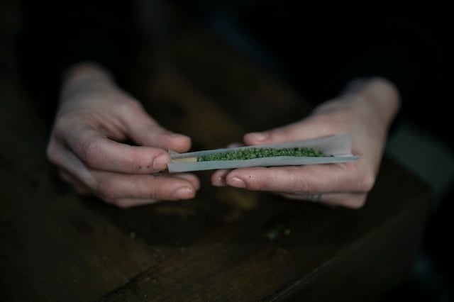  ¿Cómo funciona el cannabis? Dos proyectos europeos buscan las claves para poder usarlo como fármaco