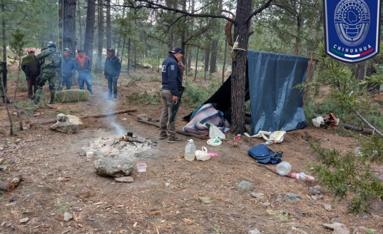  Destruye Operativo Conjunto dos campamentos en Guachochi