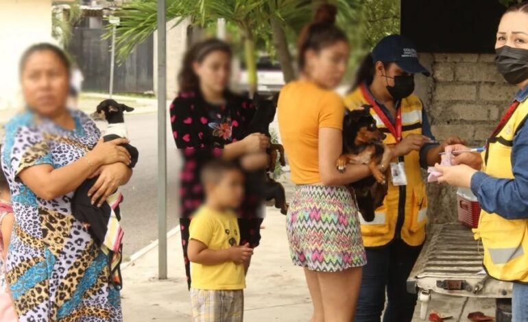  Detectan en Colima primer caso de rabia canina en 30 años