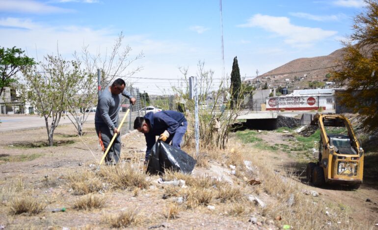  Limpia y encauza Gobierno Municipal arroyos en la ciudad para prevenir problemas de salud