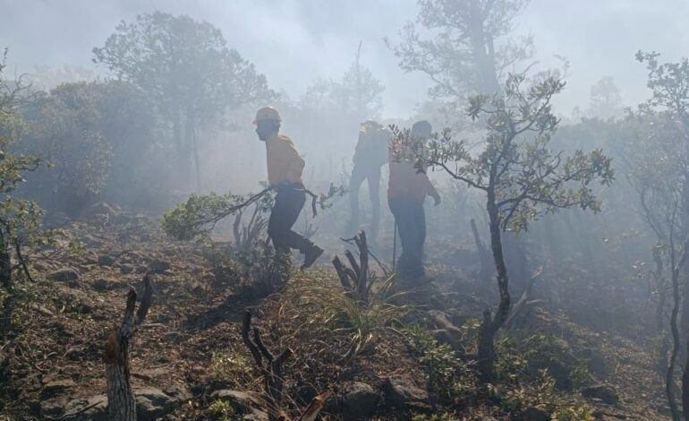  Refuerzan acciones de prevención de incendios forestales ante inicio del periodo vacacional