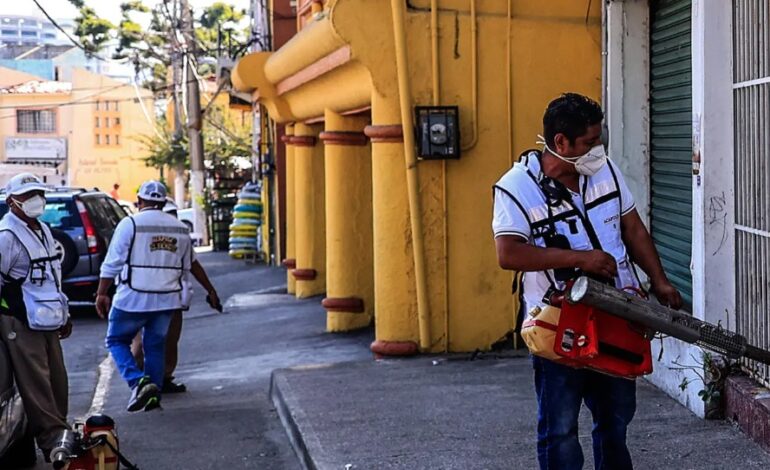  OPS espera la peor temporada de dengue en la historia de América Latina