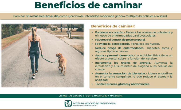  Destaca IMSS Chihuahua que caminar 30 minutos diarios favorece a la salud