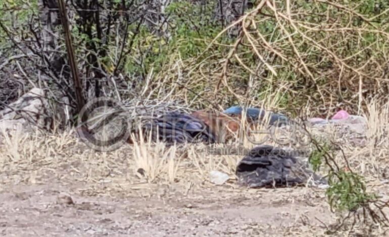  Localizan cuerpo de mujer en avanzado estado de descomposición en carretera a Juárez
