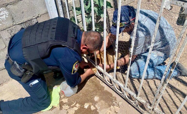  Ayudaron policías municipales a rescatar a perrito atrapado