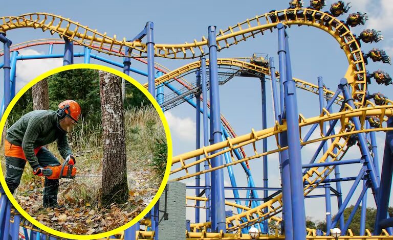 Negaron a Six Flags talar 150 árboles para nueva montaña rusa