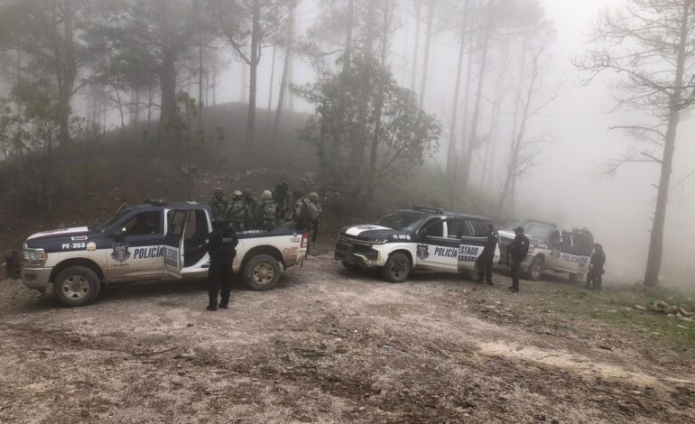  Destruye Policía del Estado campamento en Guadalupe y Calvo