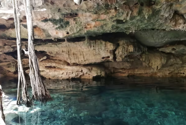 Video en YouTube del cenote Dzombakal de Yucatán; esto pudo haber visto el buzo argentino que murió