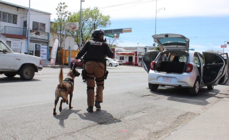  Detiene SSPE a generadores de violencia, decomisa armas, drogas y vehículos