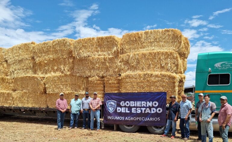  Brindan apoyos a 20 mil productores pecuarios, inversión de 152 mdp