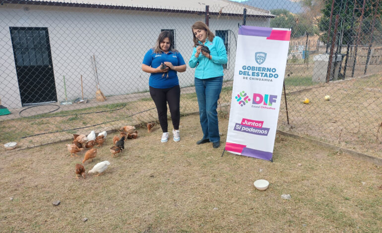  Fortalece DIF Estatal autonomía alimentaria en comunidades indígenas con entrega de aves de corral a Centros de Nutrición y Albergue Materno