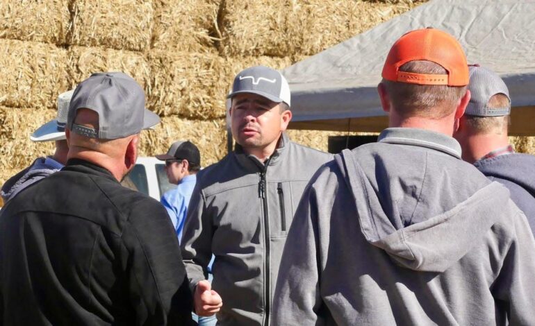  Respalda GPPAN a ganaderos de Chihuahua y exige al Gobierno Federal que atienda la crisis sanitaria