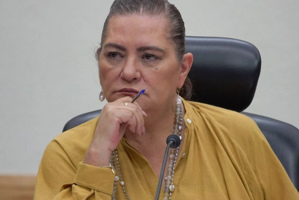  «Irresponsable y grave», que ex consejeros adviertan fraude en elección judicial: Taddei