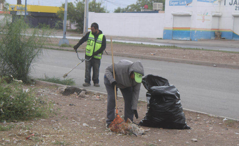  Retiró Municipio más de 130 toneladas de hierba y basura de avenidas del sur durante junio