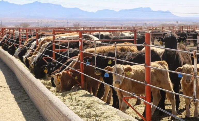  Gobierno del Estado se compromete a blindar a Chihuahua del gusano barrenador