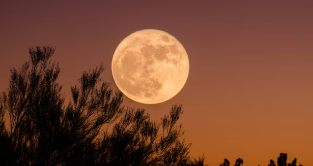  ¿Qué se le pide a la Luna de Ciervo? El evento astronómico del 10 de julio