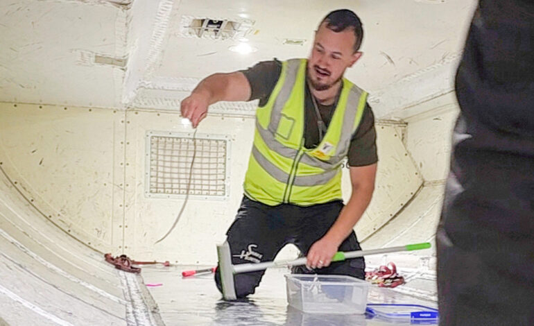  Un vuelo en Australia tuvo que ser retrasado debido a una serpiente que se coló al avión