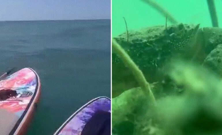  Un iPhone caído al mar termina en las pinzas de un cangrejo