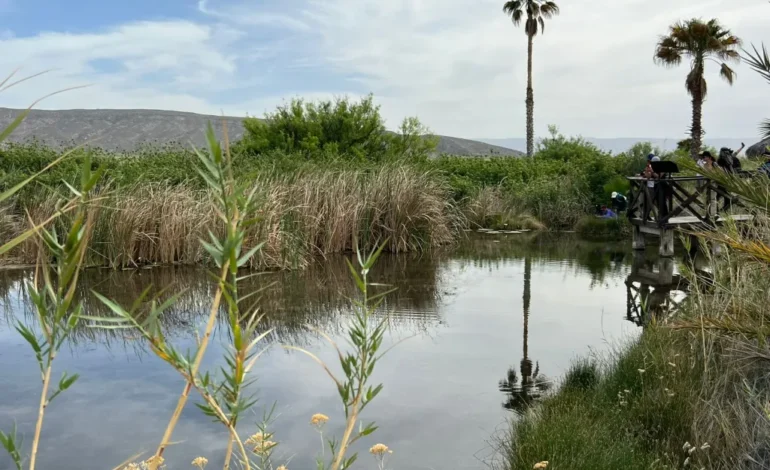  El humedal de Cuatro Ciénegas, Coahuila, en peligro de desaparecer
