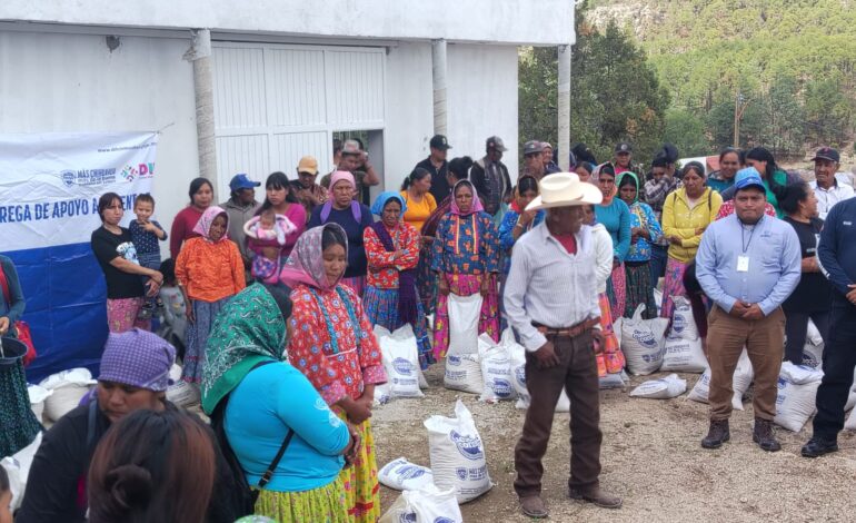  Entrega Estado más de 15 toneladas de alimento en comunidades de la región serrana