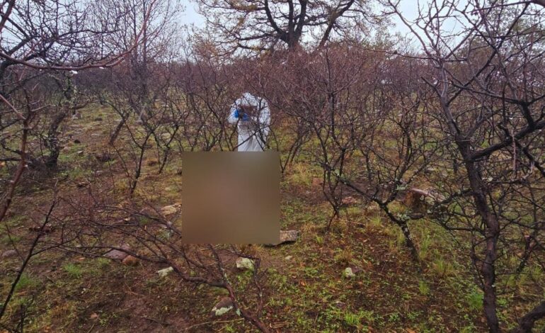  Encuentran osamenta en La Noria tras seguimiento a rastreo