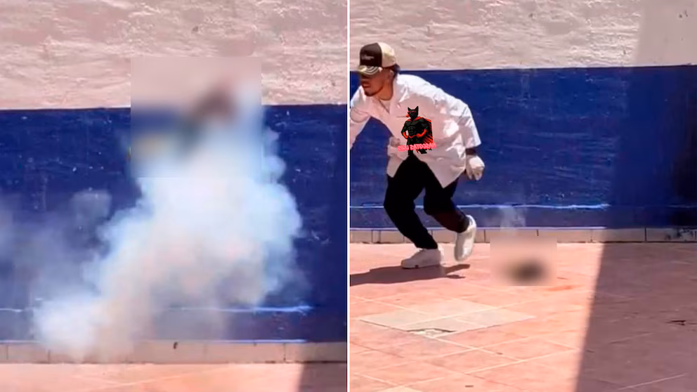 Estudiantes de Criminología en Guanajuato asesinan a un gato con pirotecnia