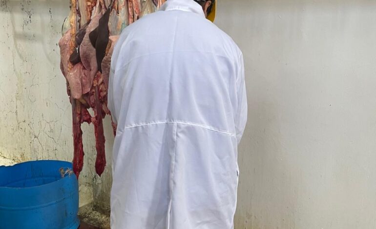 Colaboran EU y Senasica en revisión de protocolos sanitarios en Chihuahua