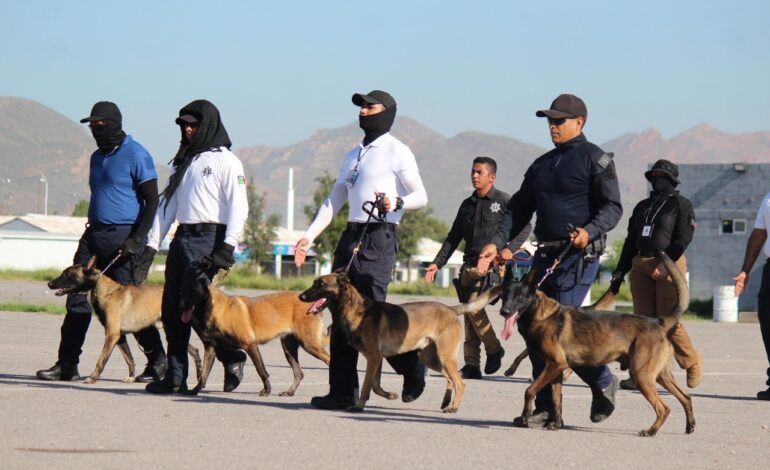  Prepara SSPE participación en el desfile del Día de Independencia