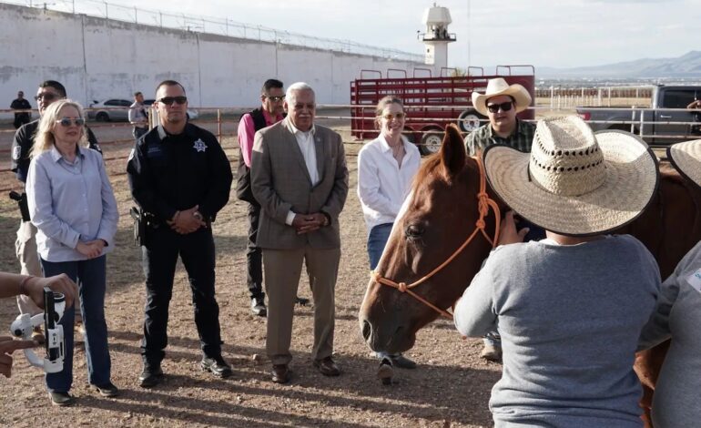  Concluye SSPE terapia con caballos para mujeres privadas de la libertad