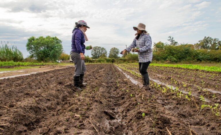  Invita Saúl Mireles a inscribirse en el reconocimiento “Mujer Rural 2025”