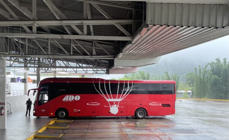  Boletos de autobús con ADO: tu viaje cómodo y seguro partiendo de Oaxaca.