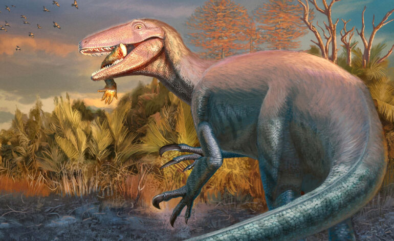  Hallan restos de un dinosaurio carnívoro que habría sido de los últimos en extinguirse