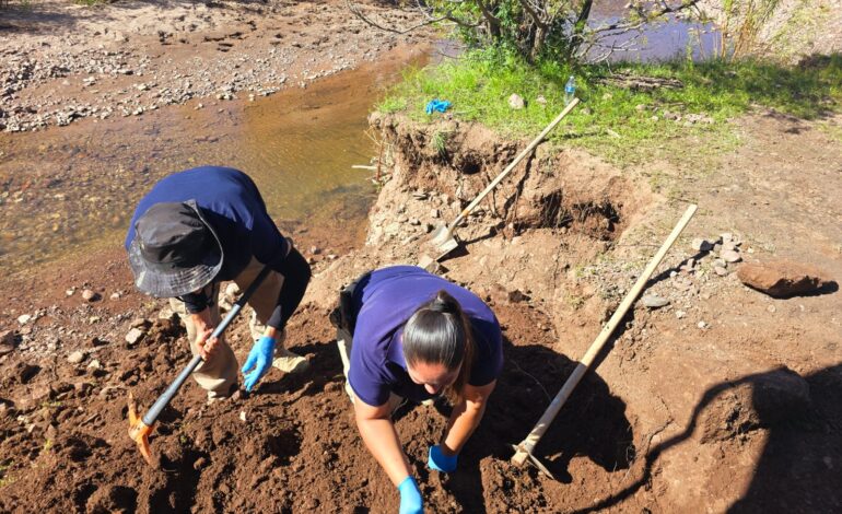  Realizan seguimiento a rastreo en Arroyo de Baporeachi, Carichí