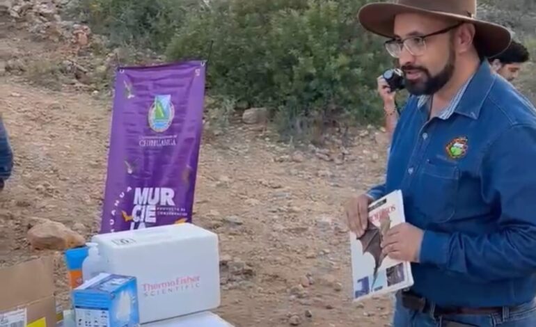  La UACH invita a celebrar la importancia de los murciélagos con el “Bat Weekend”