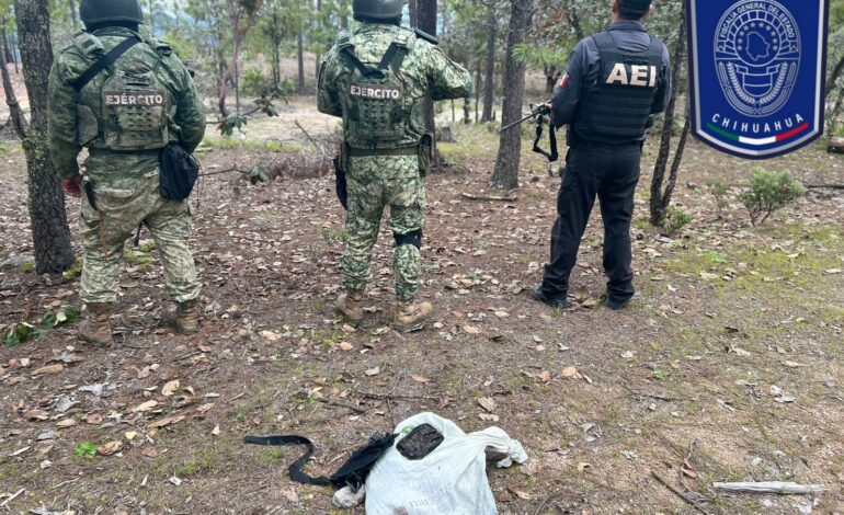  Asegura Célula BOI más de 700 cartuchos en Guadalupe y Calvo