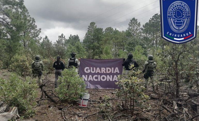  Asegura Célula BOI artefactos explosivos en Guadalupe y Calvo