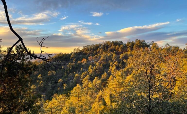  Pronostican de descenso de temperatura, lluvias y vientos fuertes en la entidad