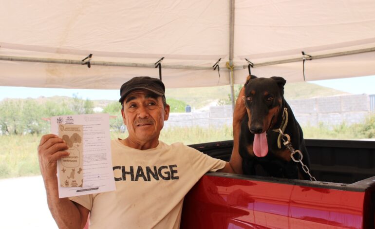  Esteriliza Gobierno Municipal a 48 mascotas en Labor de Terrazas