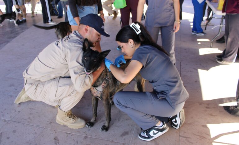  Realiza Municipio más de mil servicios en jornada de salud y atención para animales en Punta Oriente