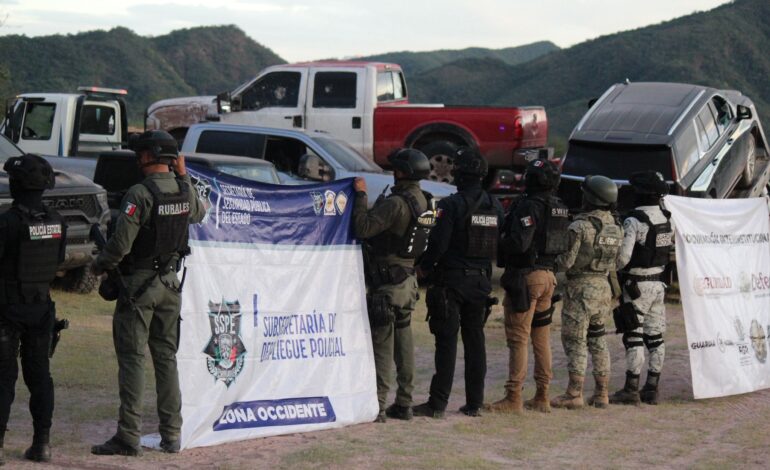  Asegura SSPE 12 vehículos robados y con alteración de series durante operativo en Moris