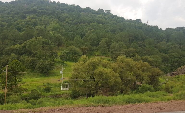  Provocarán frentes fríos 8 y 9 descenso de temperatura en la Sierra Tarahumara