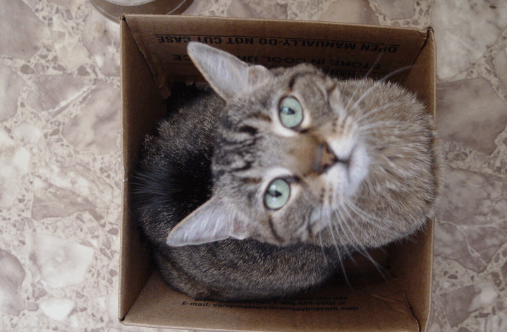  100 años después del nacimiento de la mecánica cuántica, le han dado el Nobel a la gente que mató al gato de Schrödinger