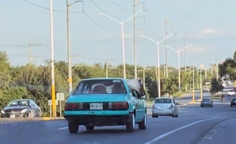  Captan a un poni viajando en un pequeño automóvil clásico en Nuevo León