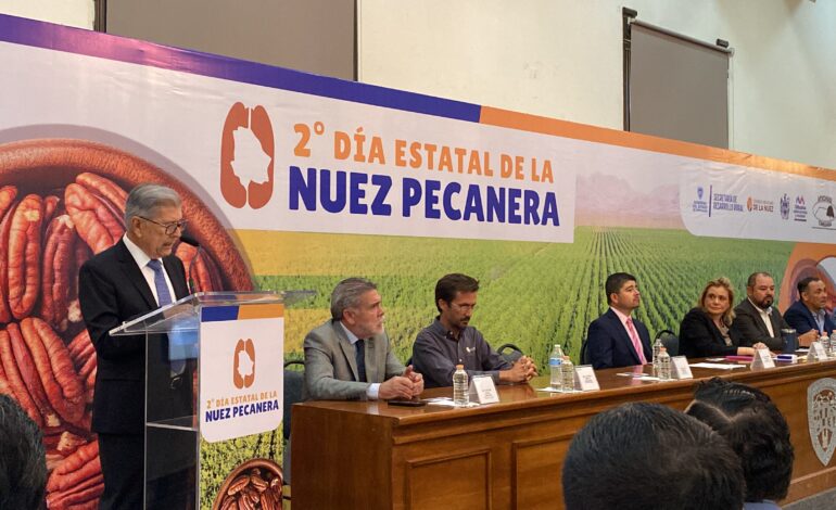  Chihuahua 1er lugar en producción de nuez; 2025 tiene 86 mil toneladas