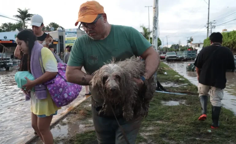  Se incrementa a 24 número de fallecidos en Hidalgo, Puebla, Veracruz y Querétaro por lluvias